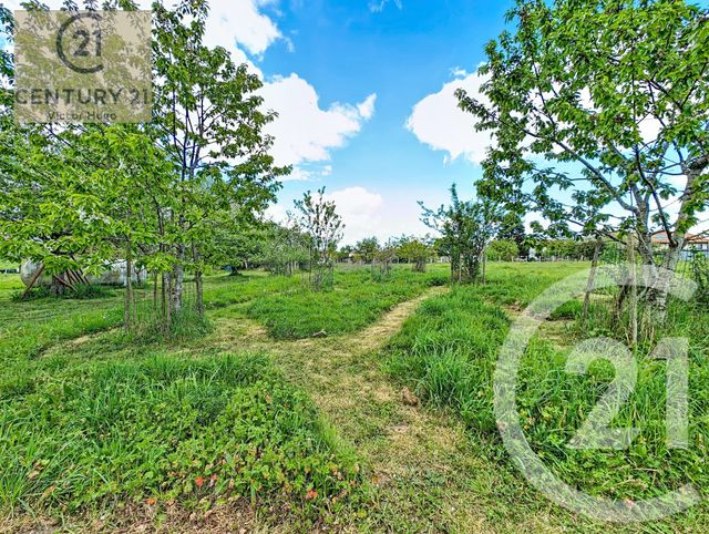 Maison &agrave; vendre - 7 pi&egrave;ces - 204 m2 - Limoges - 87 - LIMOUSIN