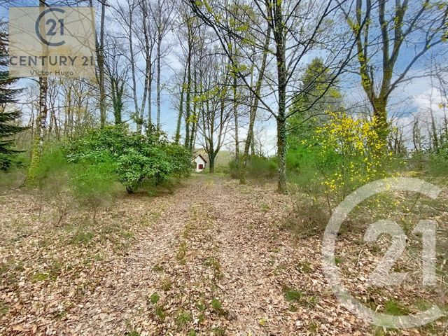 Maison &agrave; vendre - 2 pi&egrave;ces - 57,04 m2 - La Geneytouse - 87 - LIMOUSIN